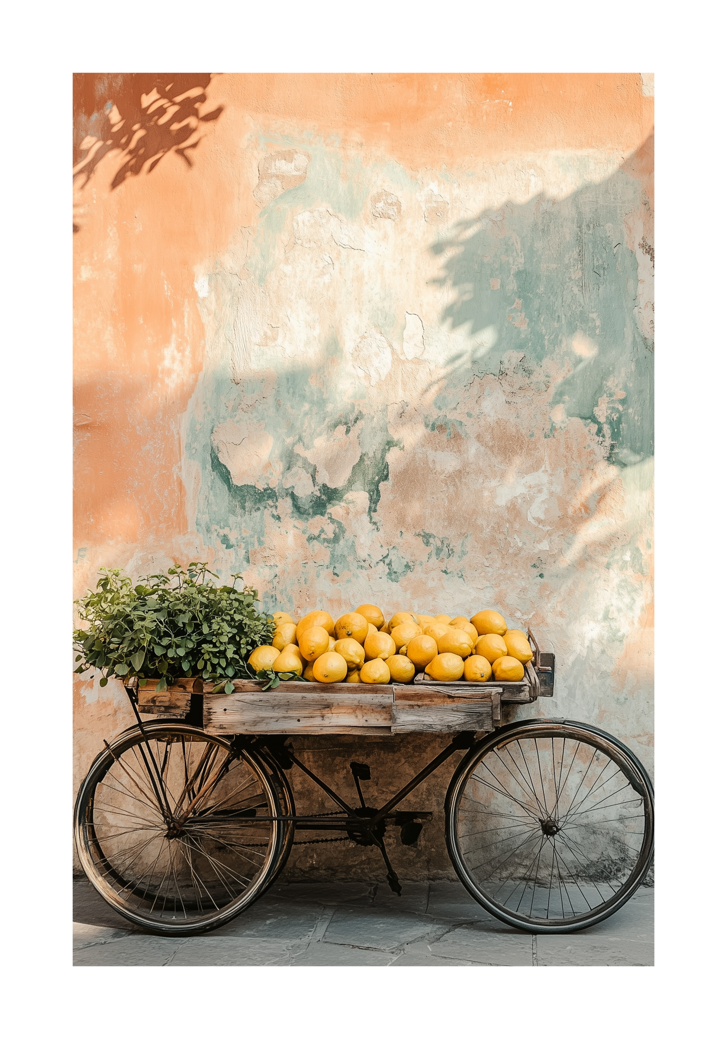 Wheels & Citrus Poster