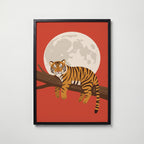 Lazy Tiger Poster – svart ram