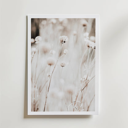 Wild Meadow Poster