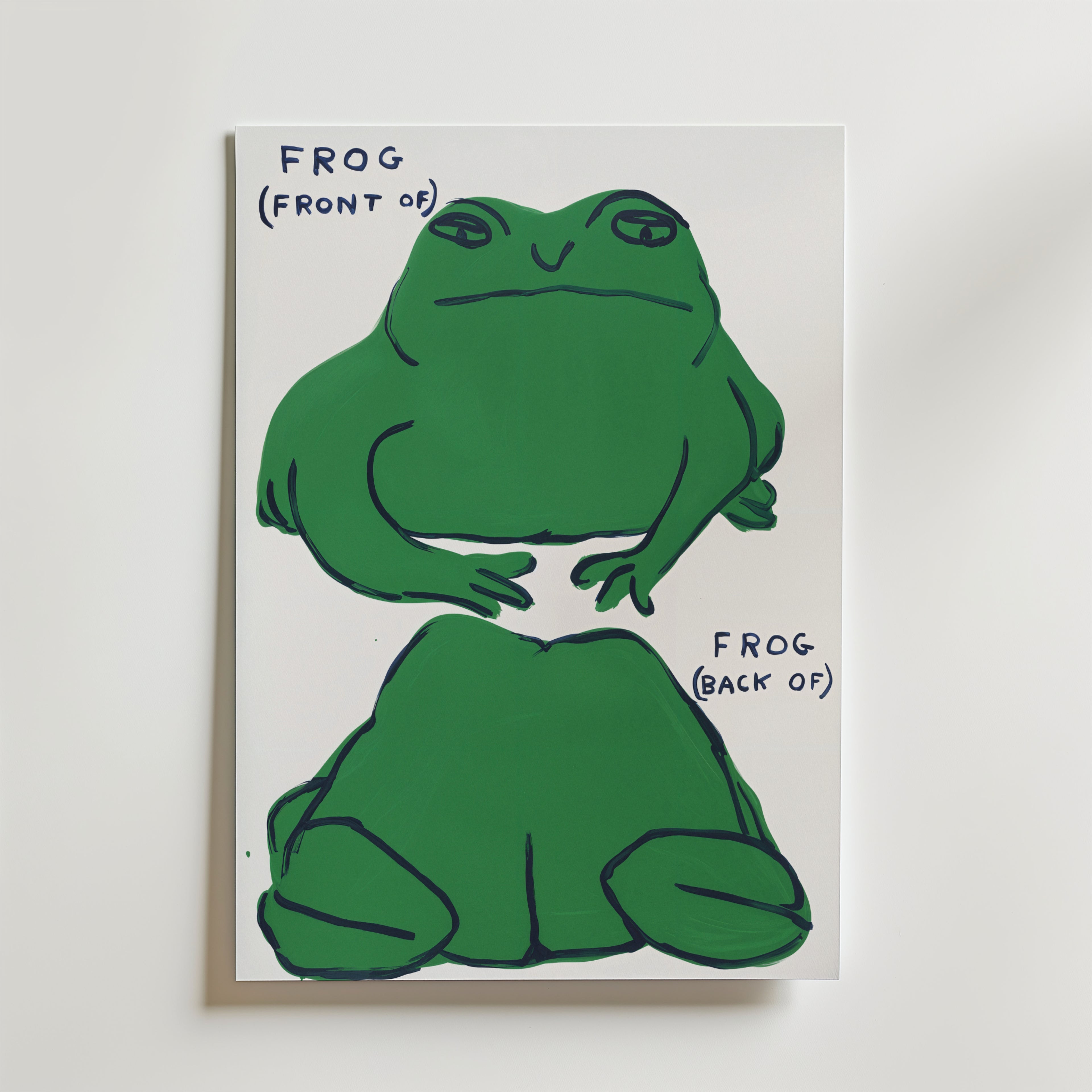 Bozetto Frog Perspective Poster visar två vyer: framsidan märkt FROG (FRONT OF) med ansiktet och frambenen, och baksidan märkt FROG (BACK OF) med ryggen och bakbenen - ett unikt och engagerande konstverk.