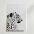 Black and White Leopard Poster by Bozetto har en detaljerad profil av en leopard på FSC-certifierat premiumpapper med lyxigt matt yta, som framhäver dess fläckar och lugna uttryck mot en minimal vit bakgrund.