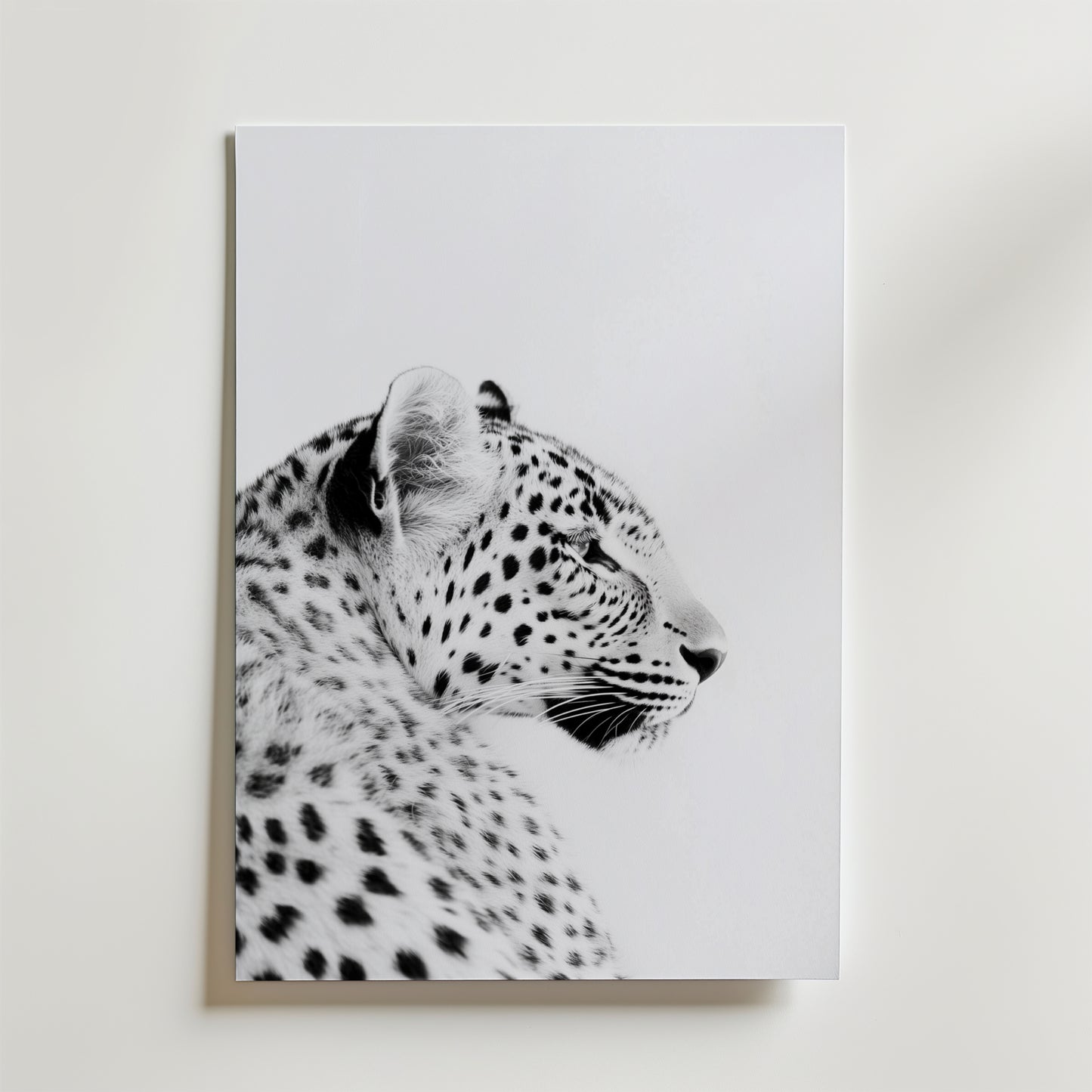 Black and White Leopard Poster by Bozetto har en detaljerad profil av en leopard på FSC-certifierat premiumpapper med lyxigt matt yta, som framhäver dess fläckar och lugna uttryck mot en minimal vit bakgrund.