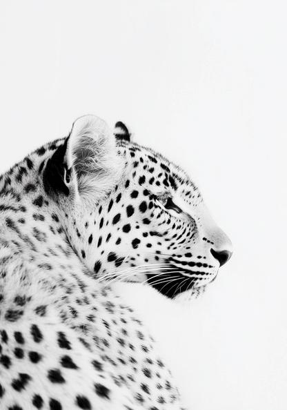 Black and White Leopard Poster