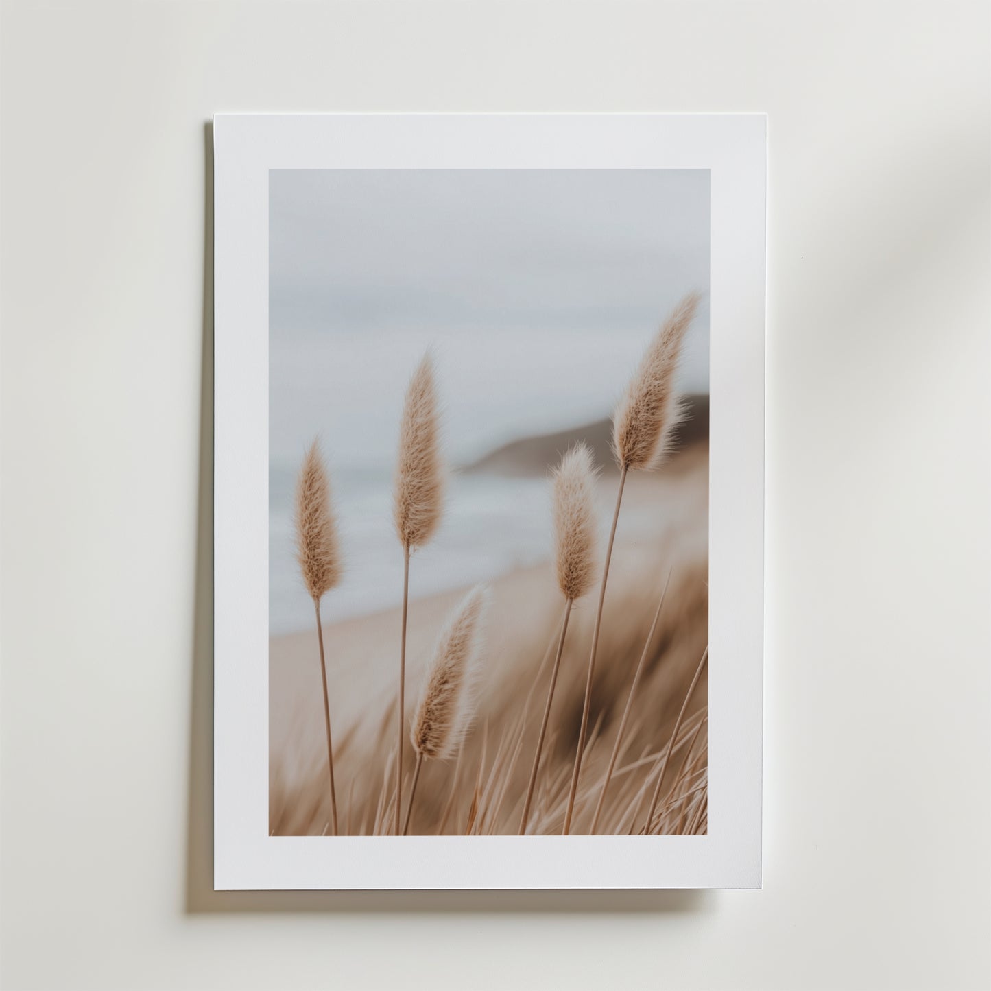 Bozetto Coastal Nature Poster föreställer mjukt beige pampasgräs som vajar vid kusten, tryckt på FSC-certifierat premiumpapper för en högkvalitativ finish, och visas på en vit vägg.