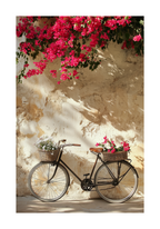 Bougainvillea Bicycle Poster