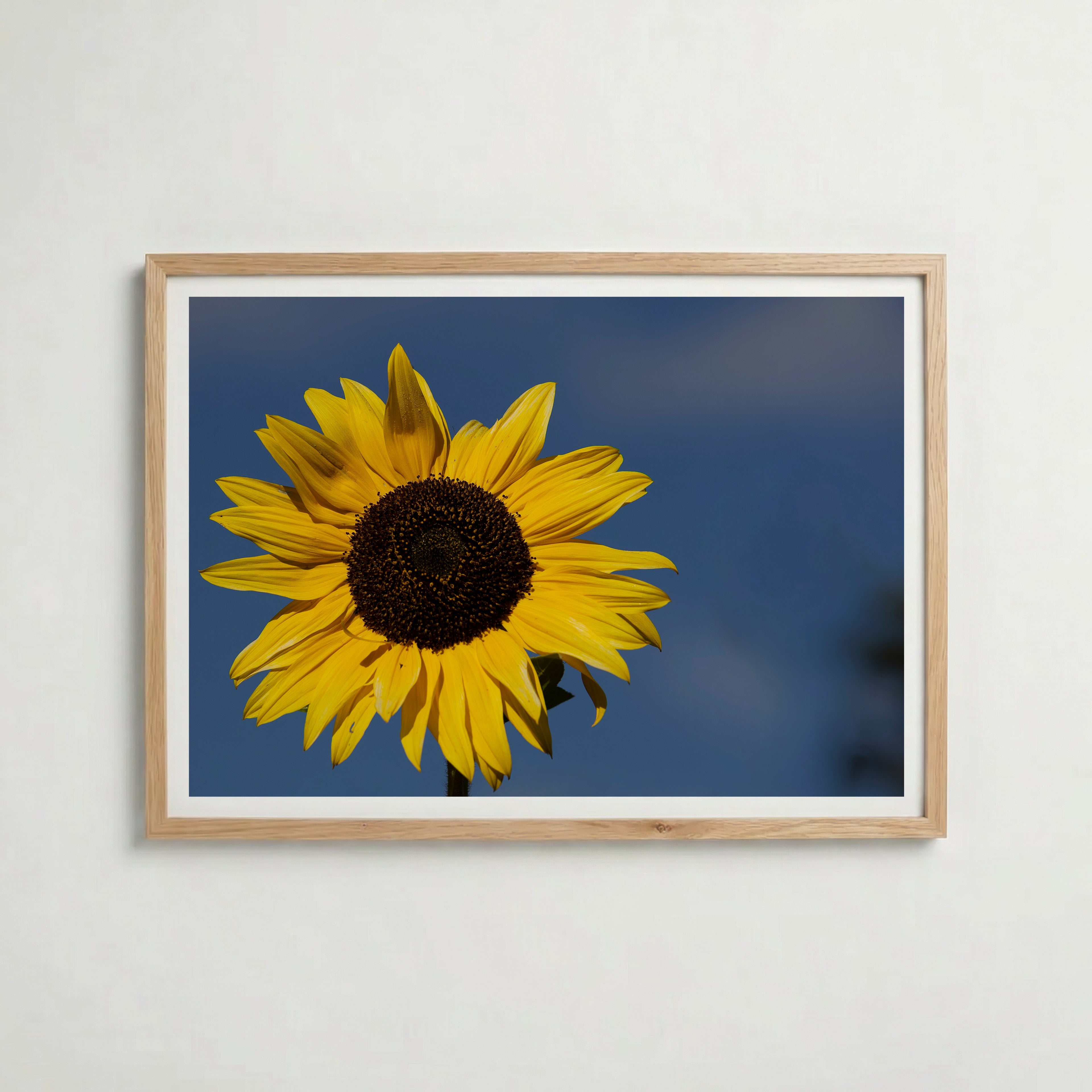A Sunny Day Poster