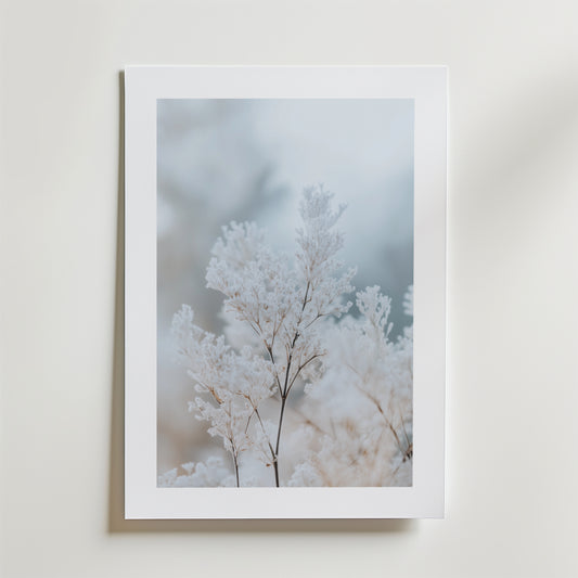 Frozen Branches Poster från Bozetto har skira frostvita växter på en mjuk, suddig bakgrund. Affischen är tryckt på FSC-certifierat premiumpapper med högkvalitativ finish och visas monterad på en ljus vägg.