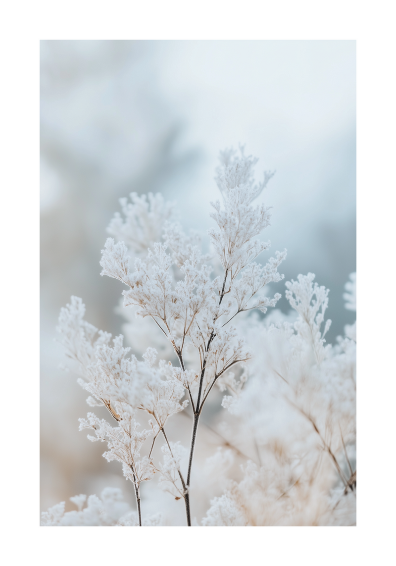 Frozen Branches Poster