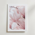 Bozetto Blush Pink in Bloom Poster har fina ljusrosa magnoliablommor i mjukt fokus, vackert tryckt på FSC-certifierat premiumpapper för en högkvalitativ finish, perfekt att visa upp mot en ljus vägg.
