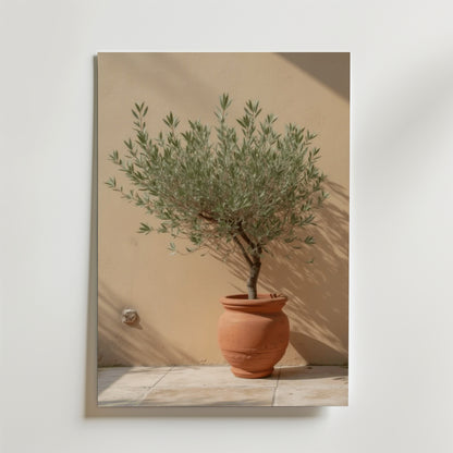 Affischen Bozetto Potted olive tree visar ett litet olivträd i en terrakottakruka på ett klinkergolv, mot en beige vägg med mjukt solljus och eleganta skuggor för en raffinerad touch.