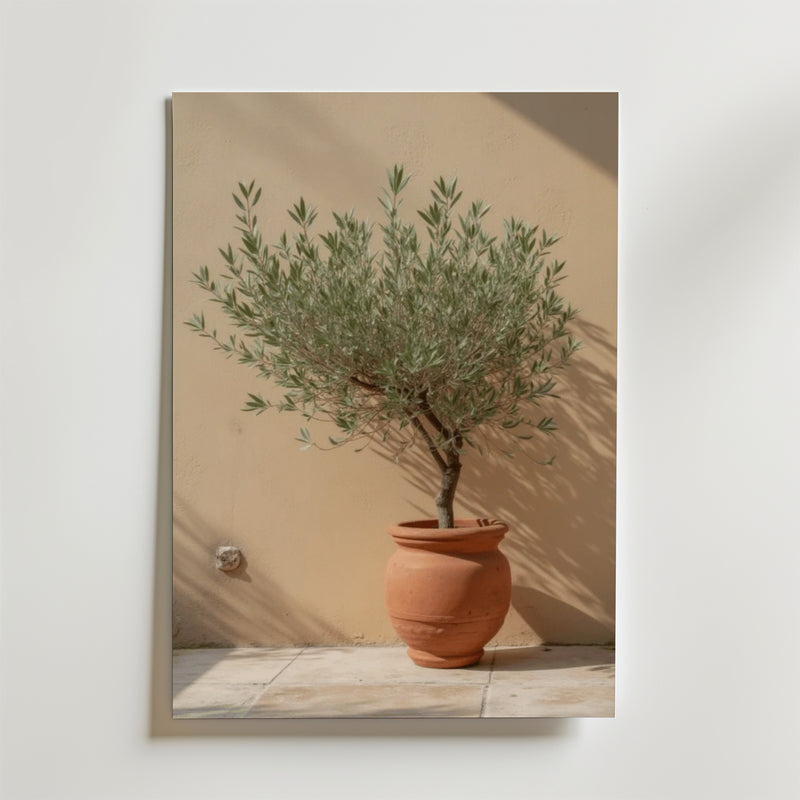 Affischen Bozetto Potted olive tree visar ett litet olivträd i en terrakottakruka på ett klinkergolv, mot en beige vägg med mjukt solljus och eleganta skuggor för en raffinerad touch.