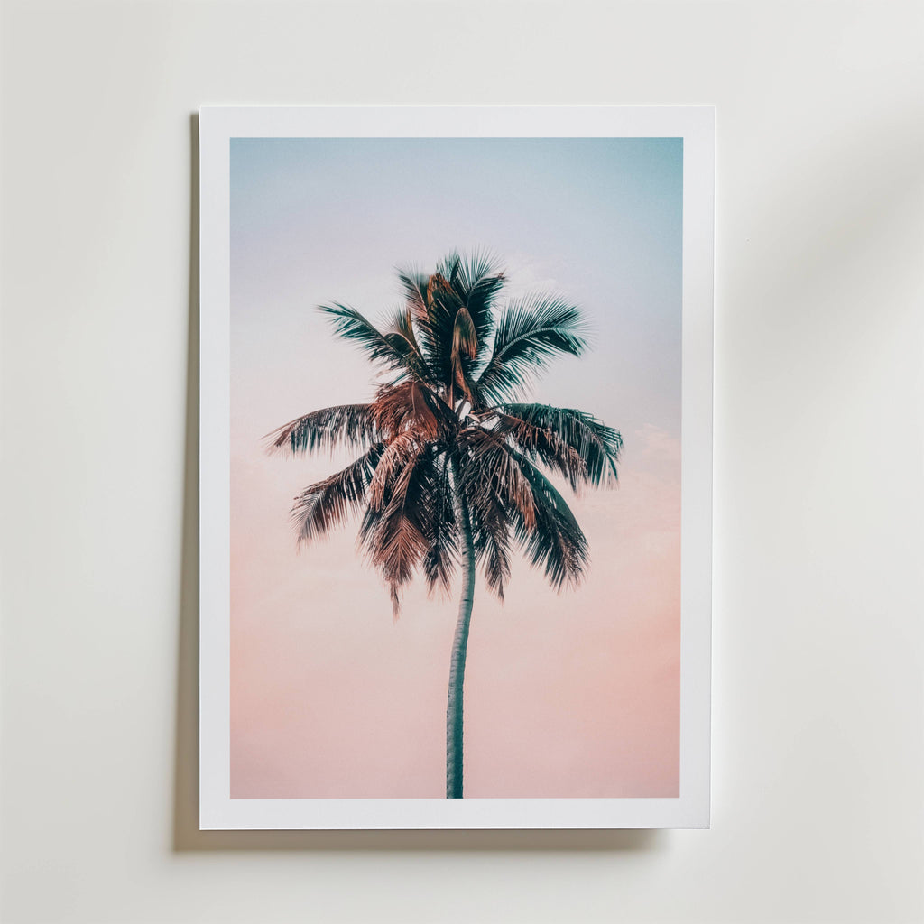Sunset Palm Dream Poster