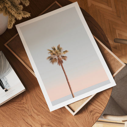 Palm Sunset Poster