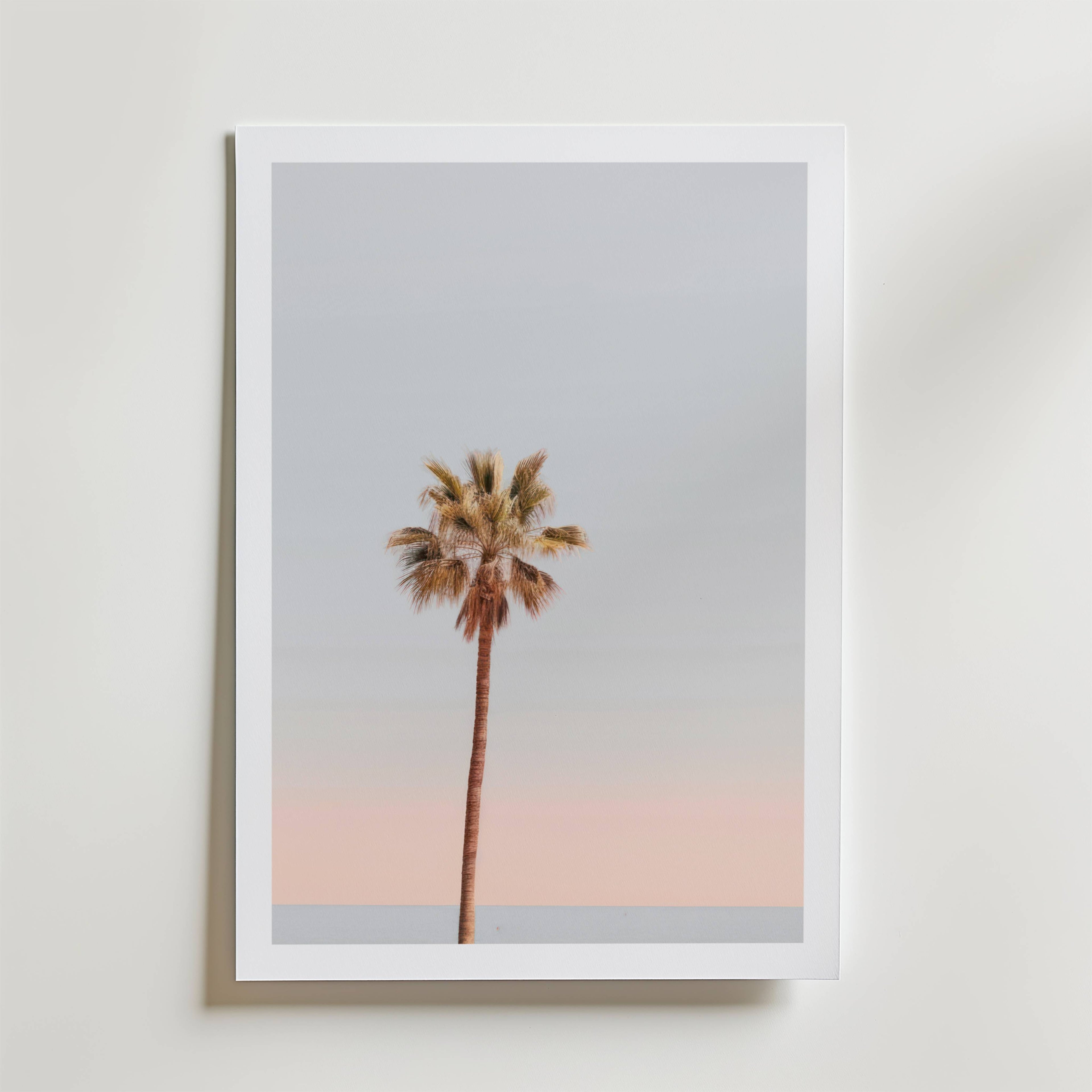 Palm Sunset Poster