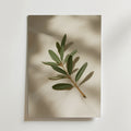 Bozetto Olive Branch Decor Stem Poster föreställer en grön gren med blad mot en ljus bakgrund och mjuka skuggor - perfekt för att skapa en harmonisk atmosfär i rummet.