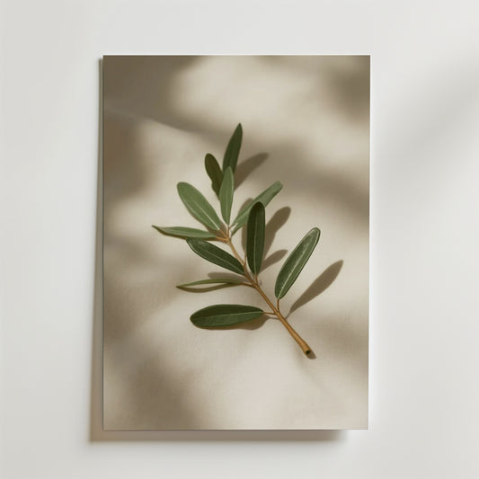 Bozetto Olive Branch Decor Stem Poster föreställer en grön gren med blad mot en ljus bakgrund och mjuka skuggor - perfekt för att skapa en harmonisk atmosfär i rummet.
