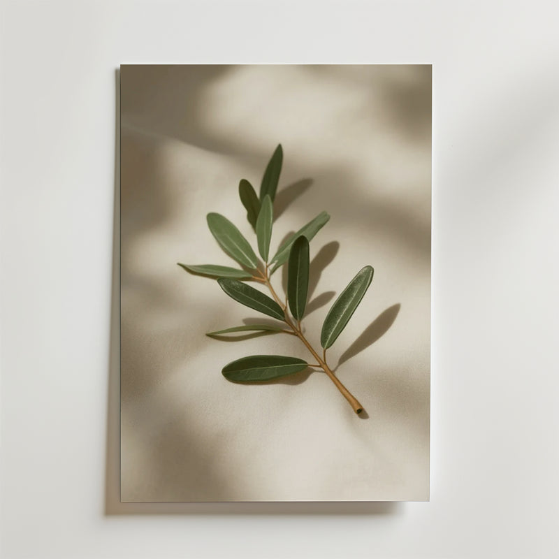 Bozetto Olive Branch Decor Stem Poster föreställer en grön gren med blad mot en ljus bakgrund och mjuka skuggor - perfekt för att skapa en harmonisk atmosfär i rummet.