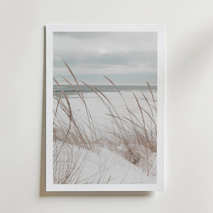 Nordic Shore Dune Poster