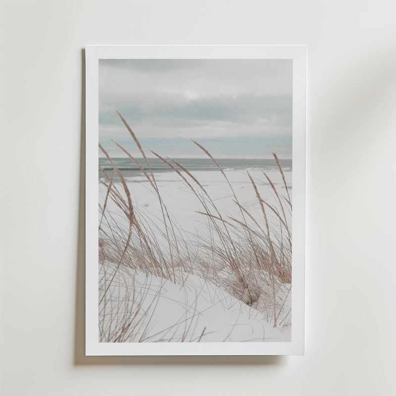 Nordic Shore Dune Poster