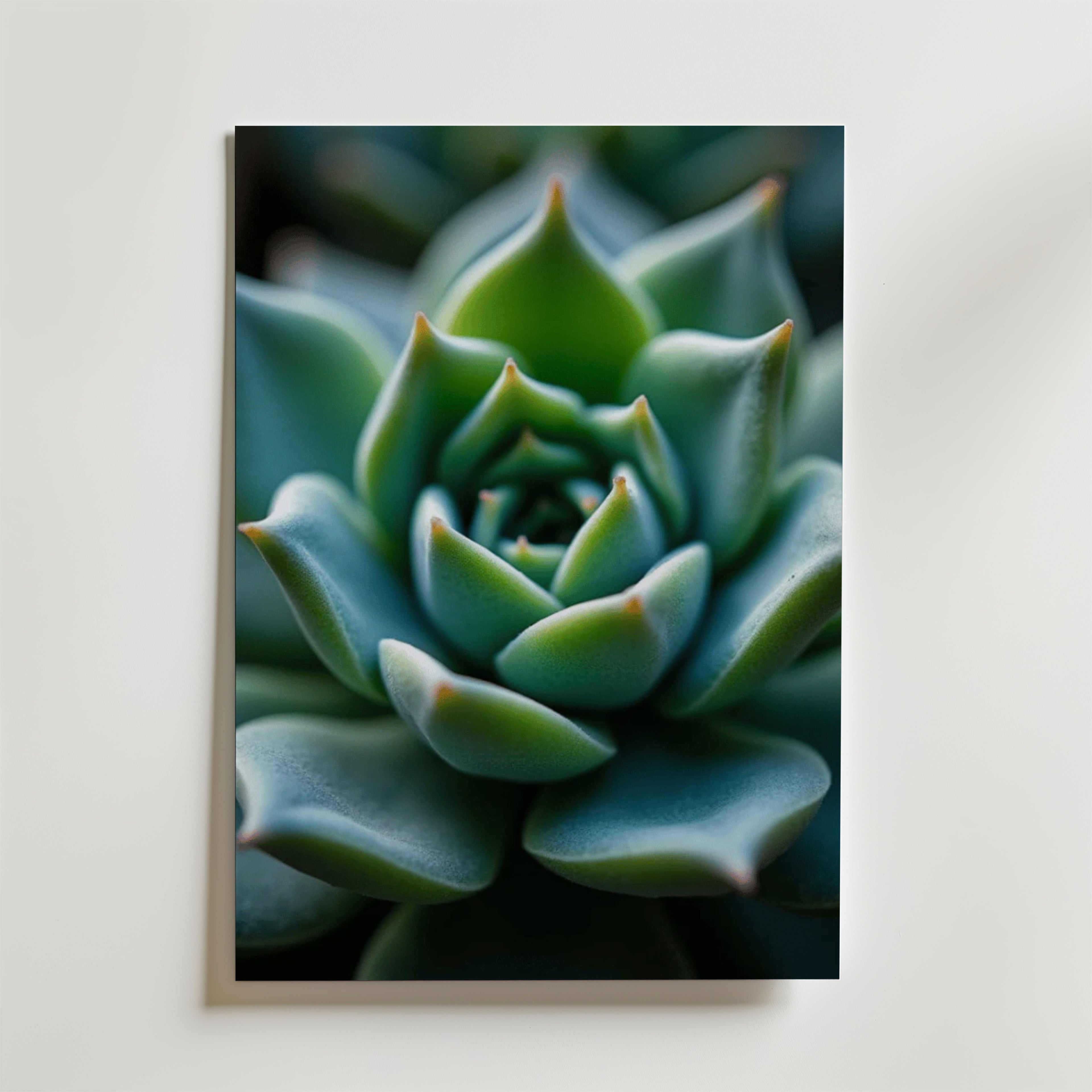 Nature's Geometry Poster by Bozetto visar en närbild av en grön suckulents rosettmönster på en vit bakgrund - perfekt för att skapa harmoni och stil i ditt rum.