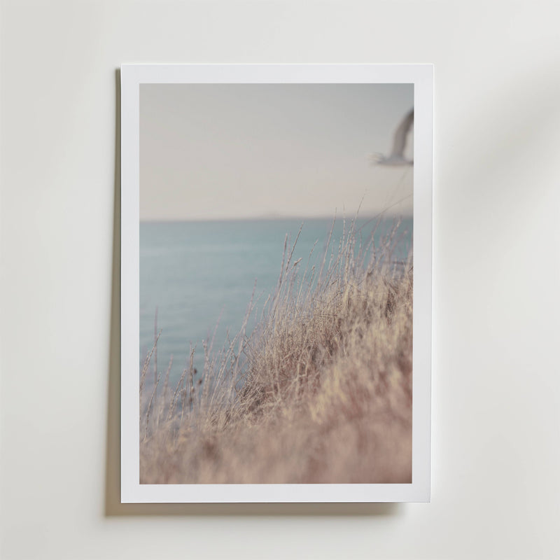 Soft Coastline Breeze Poster