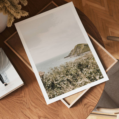 Coastal Wildflower Breeze Poster