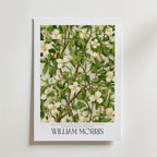 William Morris Ivory Blossom Vine Poster – En elegant poster med slingrande grenar, frodiga gröna blad och mjuka elfenbensvit