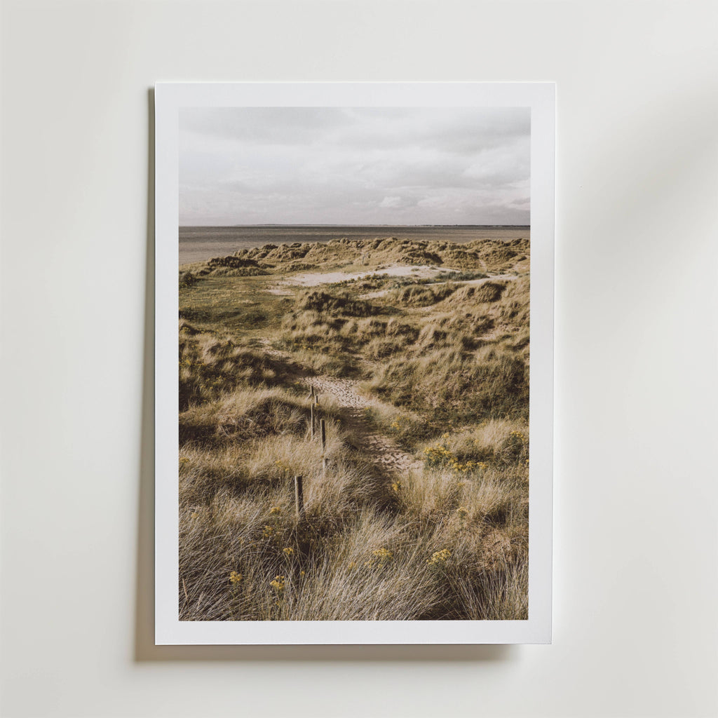 Coastal Dunes Path Poster