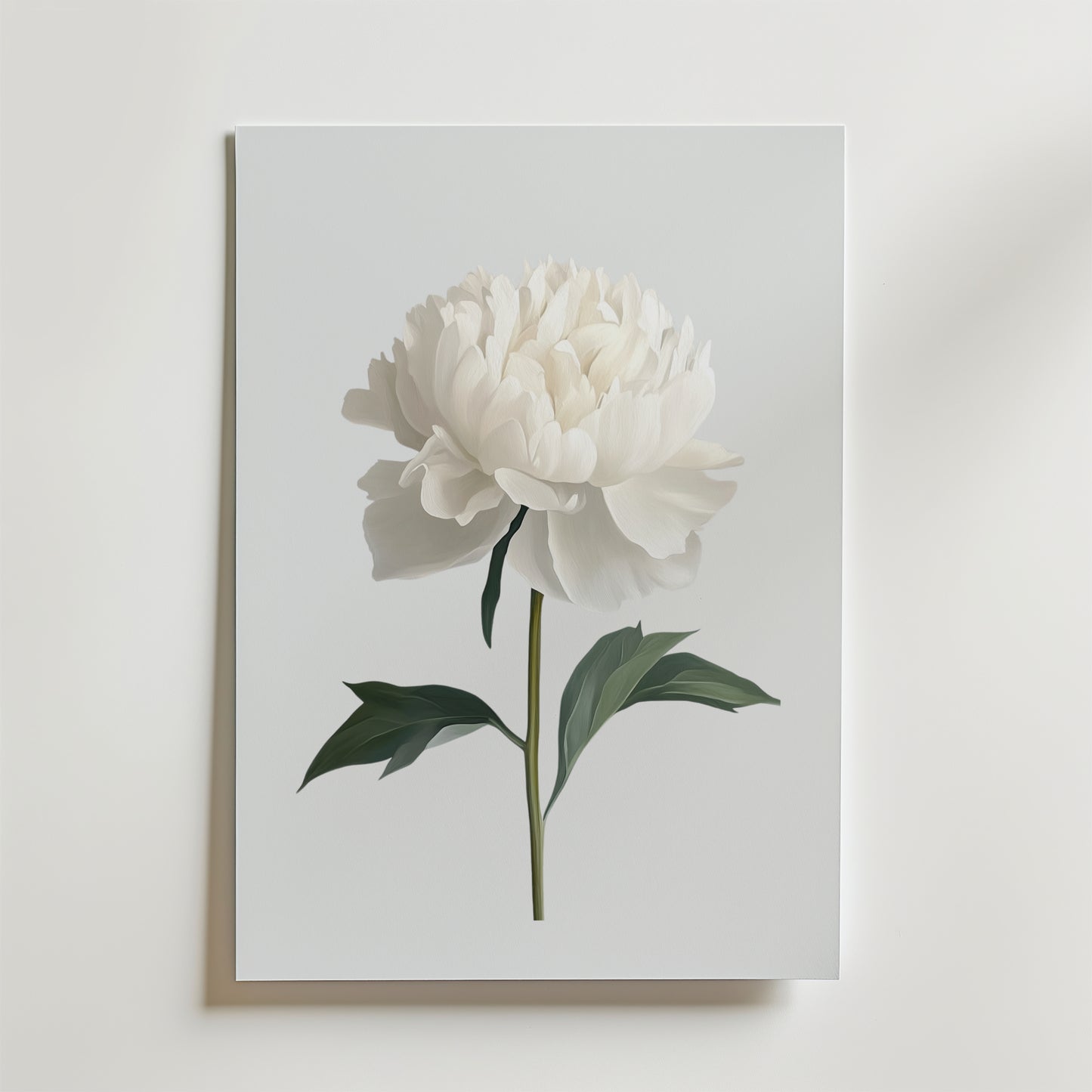 Bozetto White peony Poster föreställer en vit pion med gröna blad på en enfärgad bakgrund, tryckt på premiumpapper - perfekt för minimalistisk inredning och elegant när den monteras på en vit vägg.