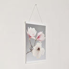 Posterhängare Vit Ek med magnet