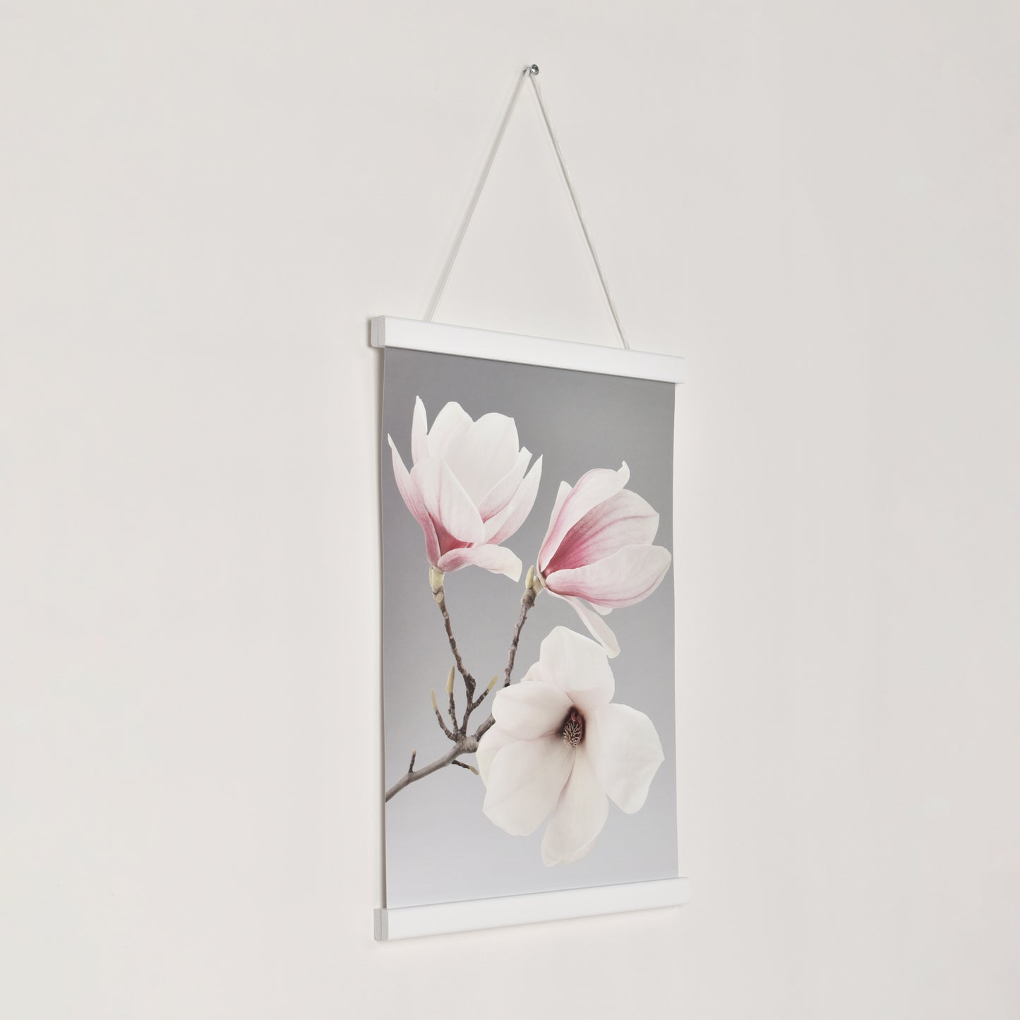 Posterhängare Vit Ek med magnet