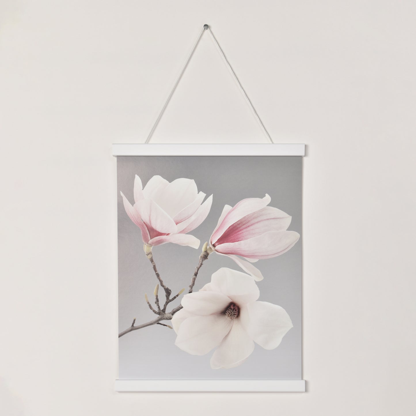 Posterhängare Vit Ek med magnet