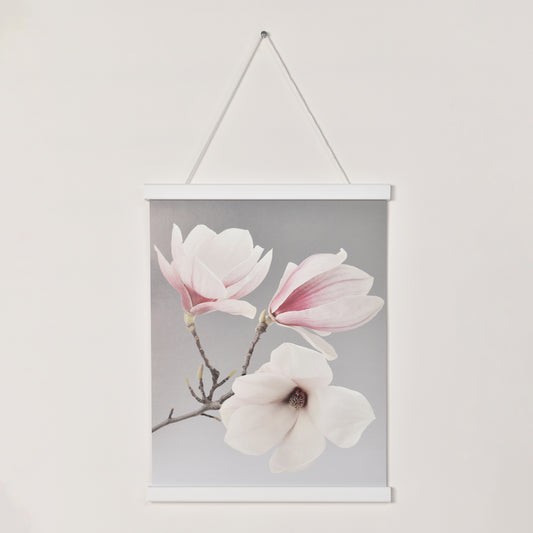 Posterhängare Vit Ek med magnet