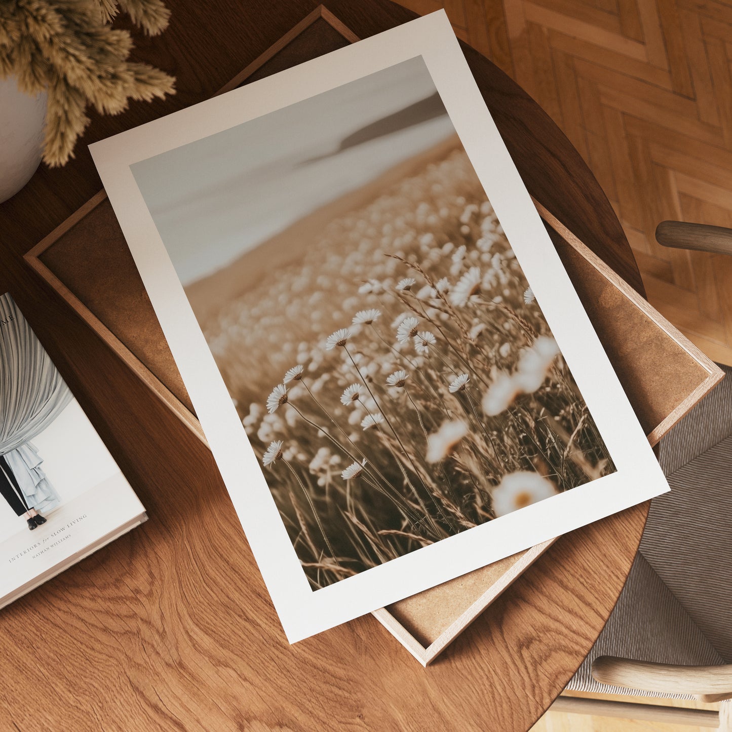 Faded Daisy Bloom Poster