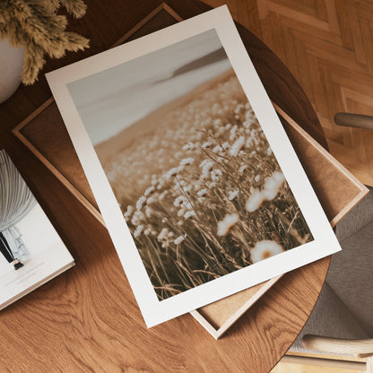 Faded Daisy Bloom Poster