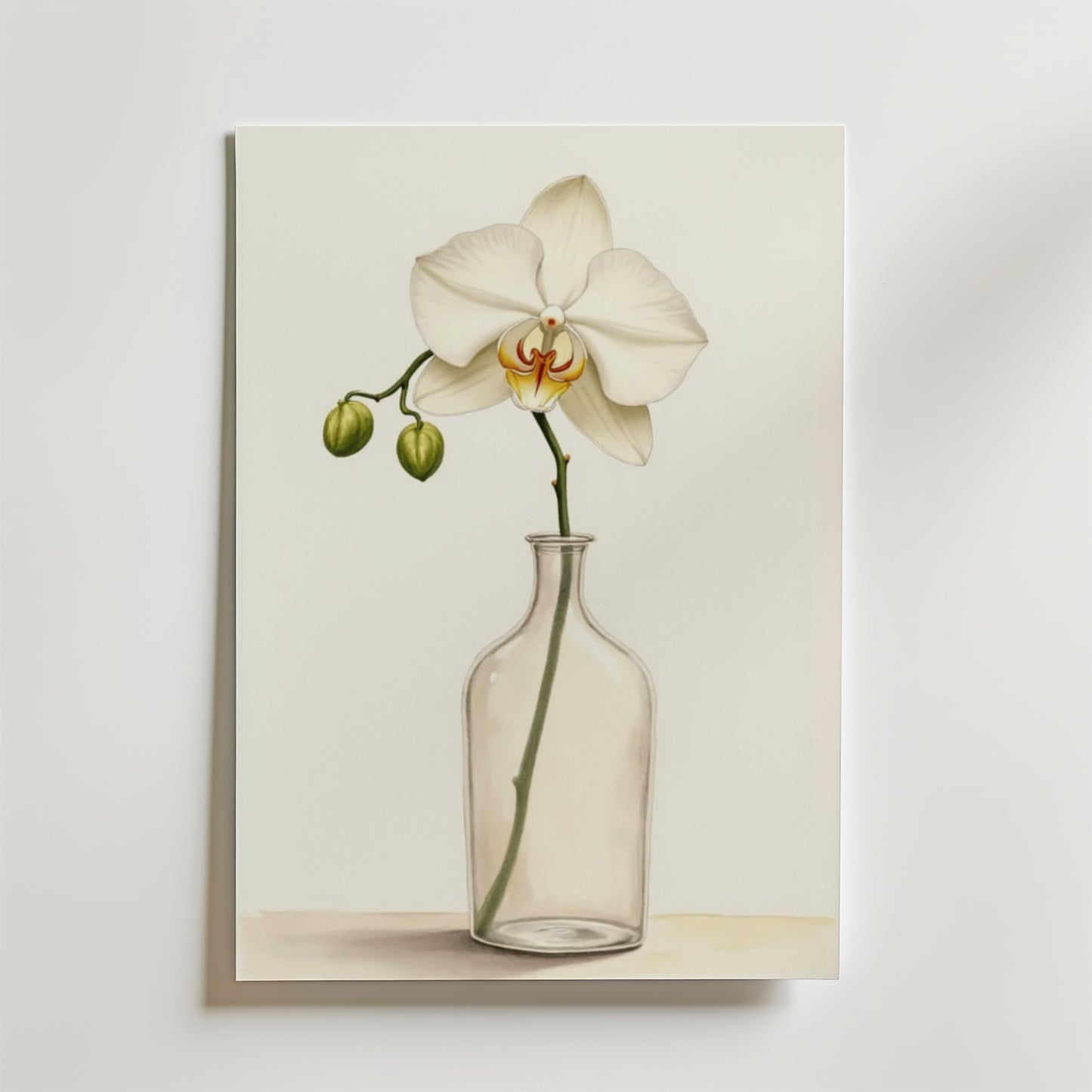 Bozetto Elegant White Orchid In Glass Vase Poster visar en vit orkidé med två gröna knoppar i en glasvas mot en vanlig ljus bakgrund - en perfekt elegant accent för alla utrymmen.