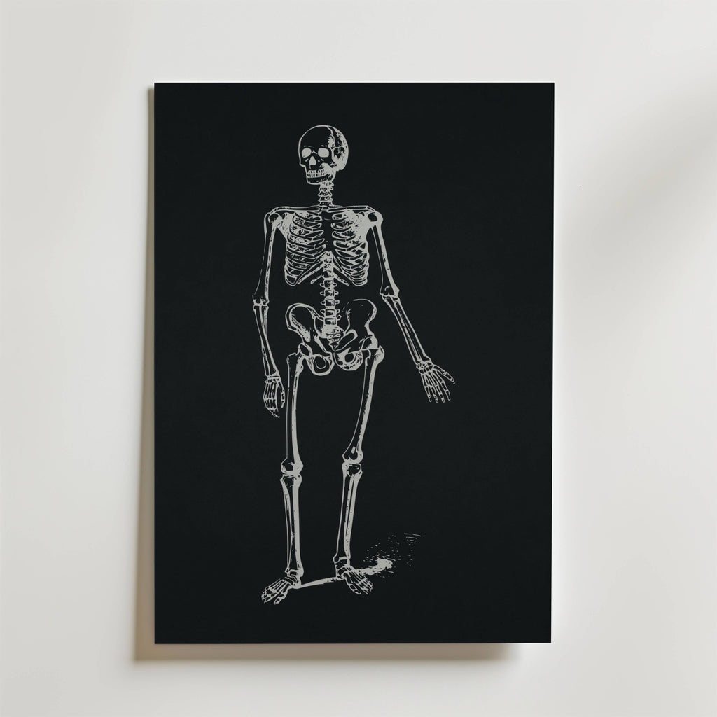 Dancing Skeleton Poster från Bozetto visar ett vitt anatomiskt skelett på en svart bakgrund, vilket skapar slående svartvit konst mot en vanlig vit vägg.