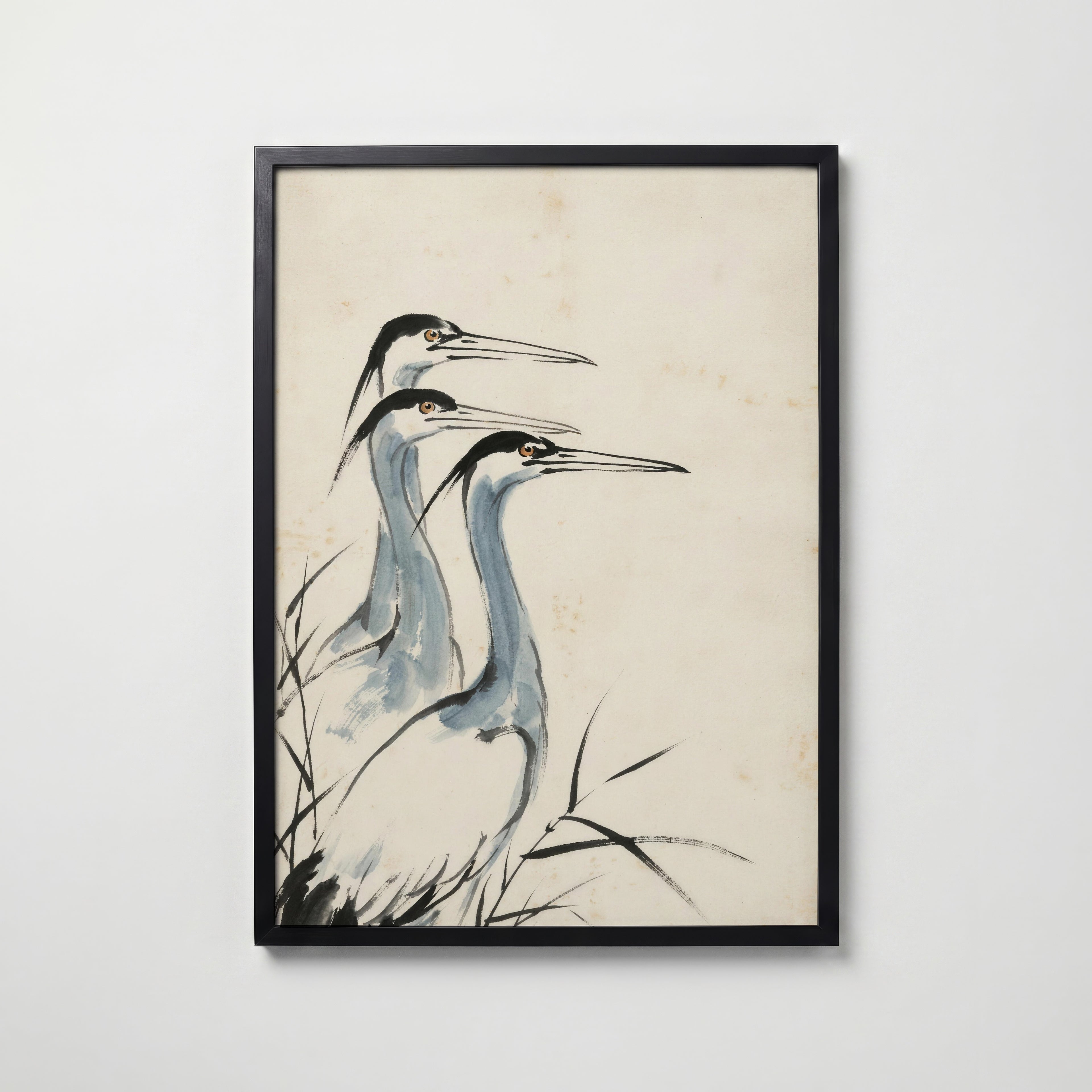 Ink Herons Poster i svart ram