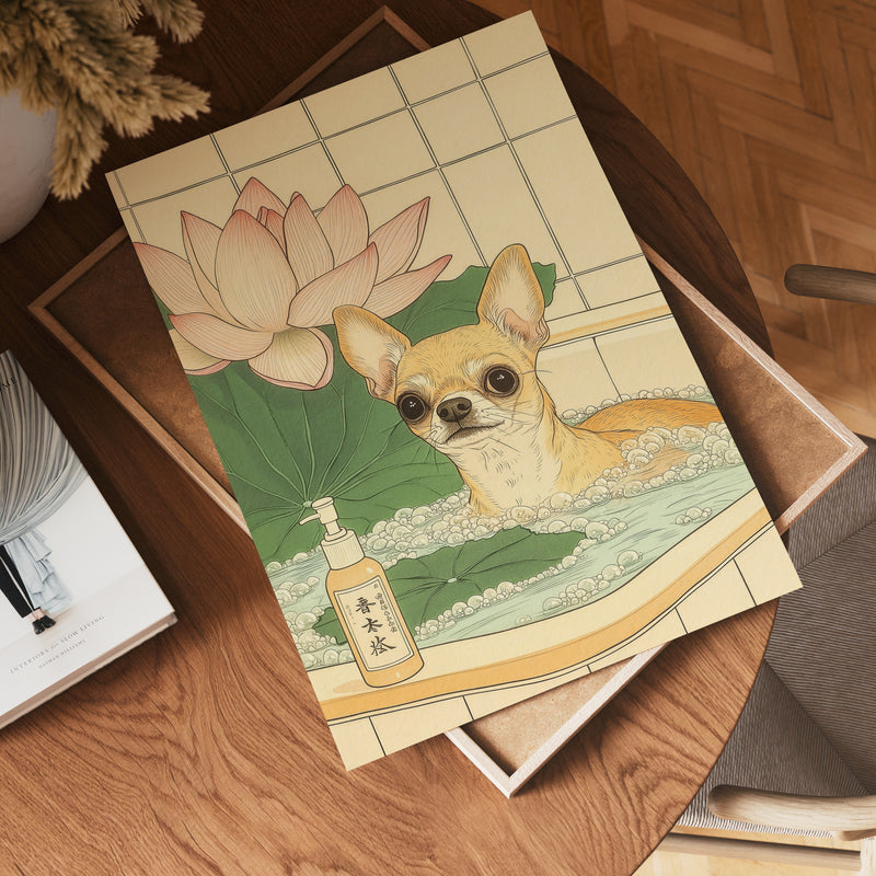 Chihuahua In Lotus Bath Poster