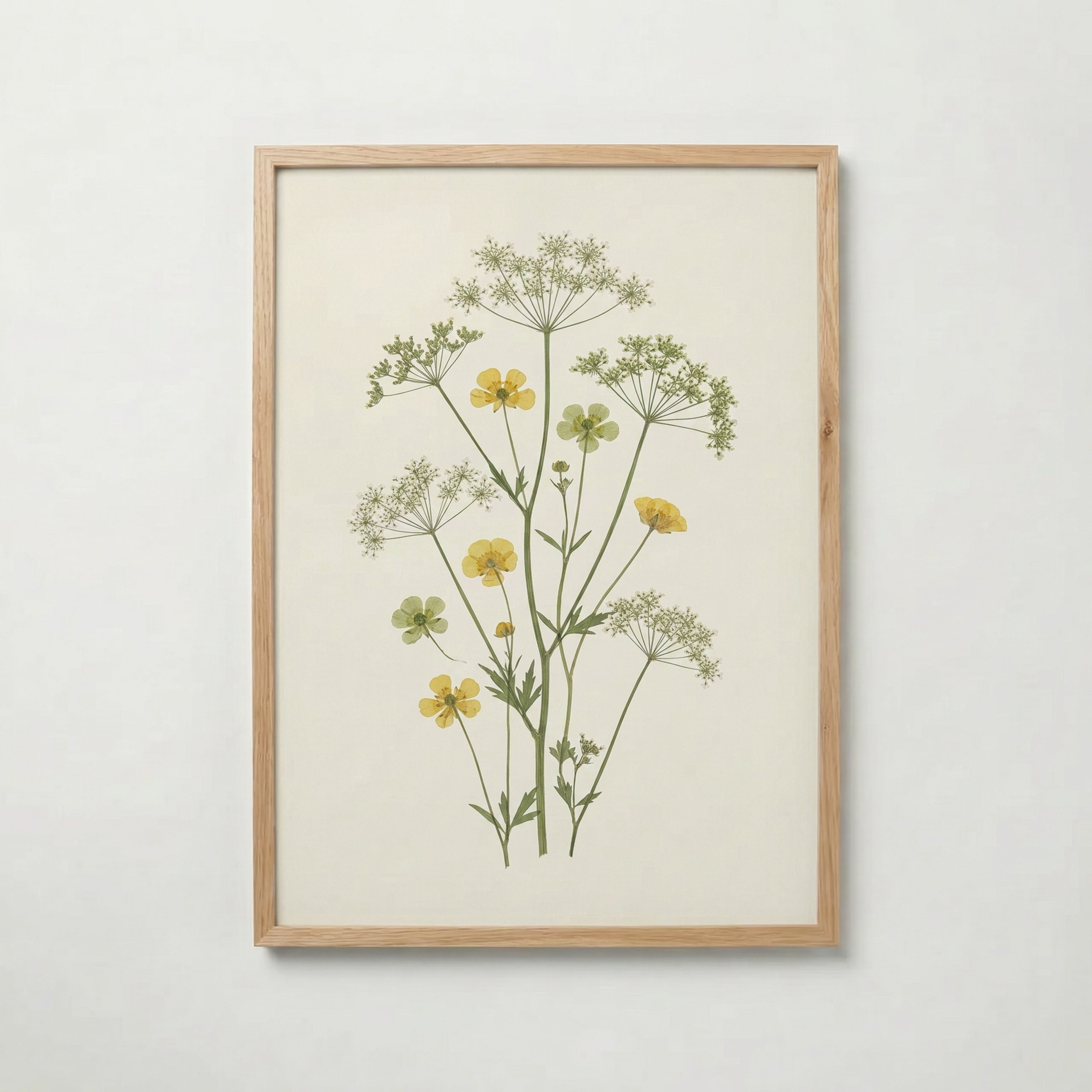 Meadow Buttercup Poster med ekram