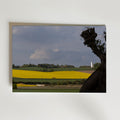 Skåne Covered in Yellow Poster – rapslandskap med vit kyrka och dramatisk himmel