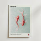 Yin Yang Goldfish Poster från Bozetto föreställer två rosa-orange guldfiskar som simmar i klarblått vatten med krusningar, koi-inspirerat. Längst ner finns en anteckning om guldfiskar och tre färgprover för att framkalla balans och harmoni.