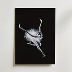 Helena Engström White Swan Poster