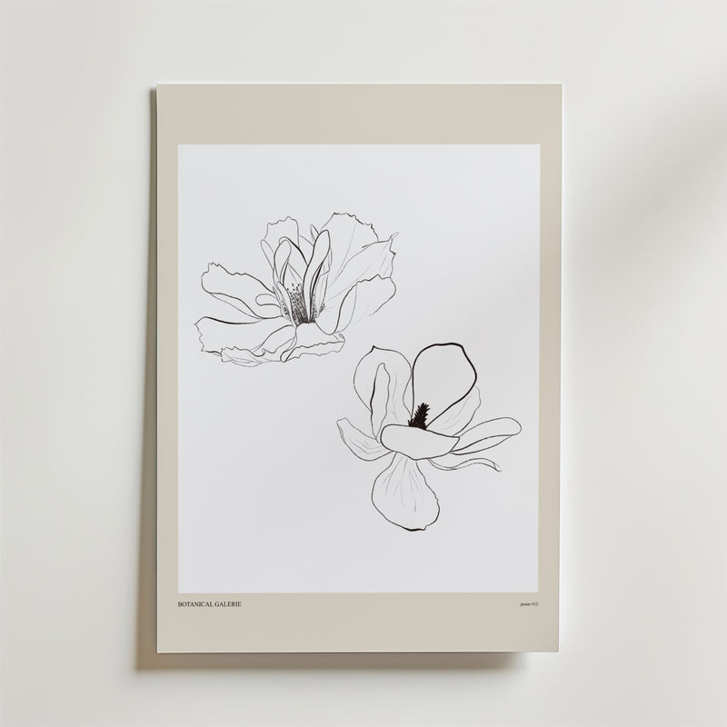 Airborne Grace Poster by Bozetto visar två svartvita magnolia linjeteckningar på en vit bakgrund med en beige kant - ett elegant val för fans av botanisk inredning och skandinaviska interiörer.