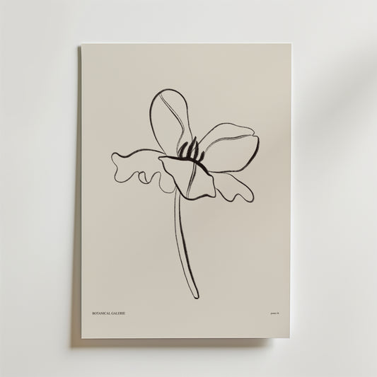 Postern Born To Unfold från Bozetto har minimalistiska svarta linjer av en enda bredbladig blomma med en vågig stjälk på en benvit bakgrund - ett lugnt och modernt blomsterprint för alla rum.