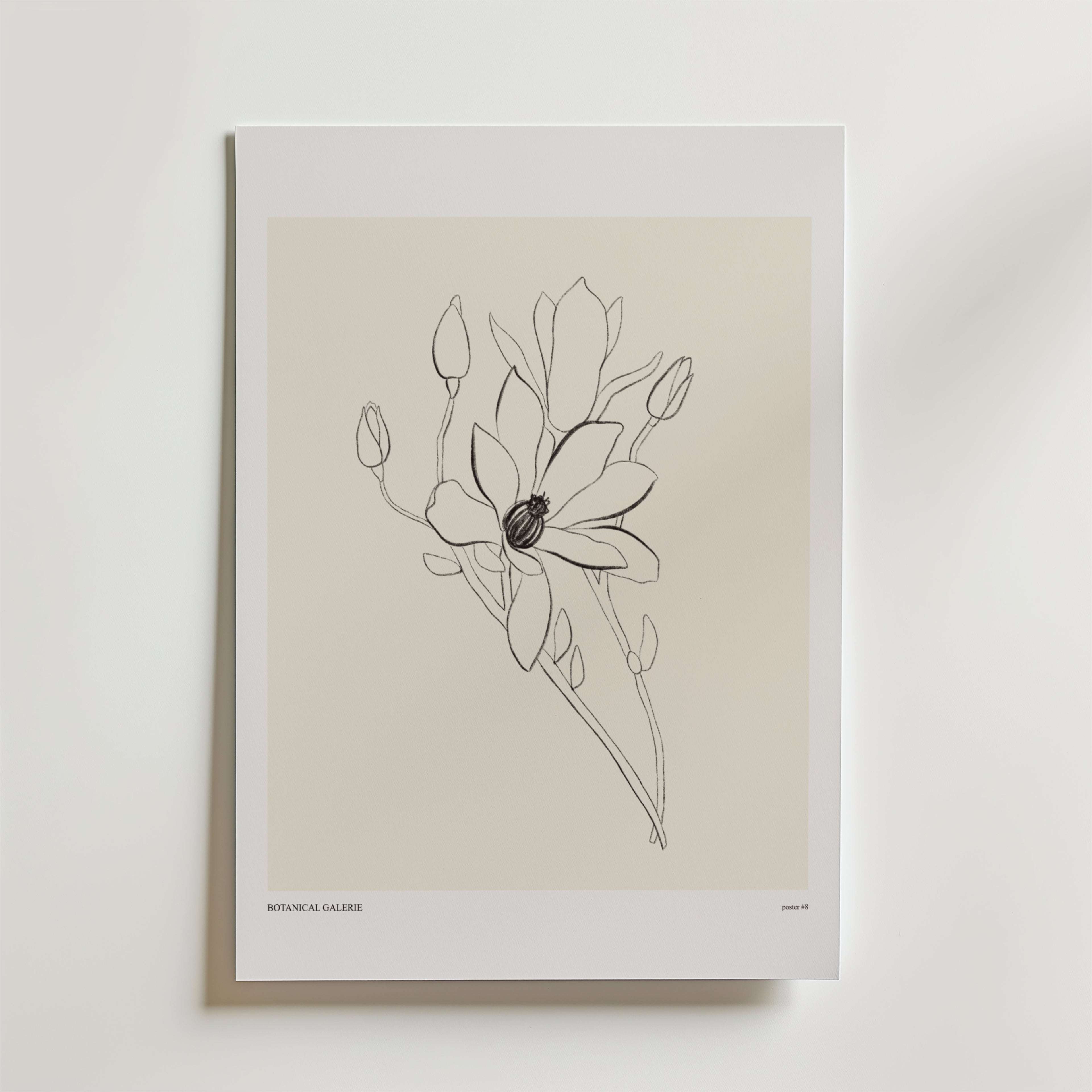 Petals Of Thought Poster från Bozetto: En minimalistisk blomillustration i full blom och knoppar på beige bakgrund, tryckt med vit kant. Perfekt för en lugn och elegant inredning.