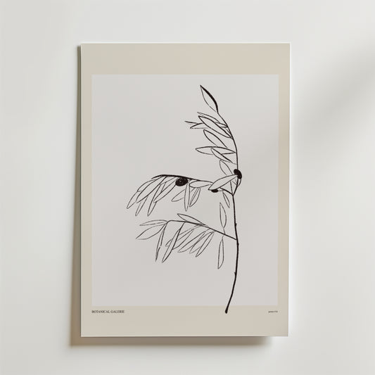 Olive Whisper Poster by Bozetto är en minimalistisk botanisk konstprint med en tunn svart stam, smala blad och två mörka cirklar på en vit bakgrund med en ljusbeige kant. "BOTANICA GALLERIE" är tryckt längst ner.