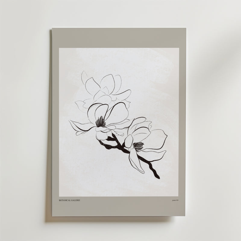 Soft Season Poster från Bozetto har en minimalistisk linjeteckning av två magnoliablommor på en gren och framhäver nordisk enkelhet med sitt vita papper, ljusgrå kant och rena vita bakgrund.