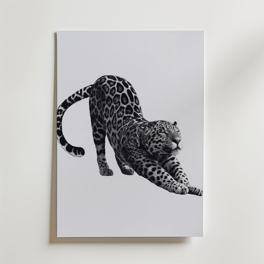 Stretching Leopard Poster – canvas utan passepartout