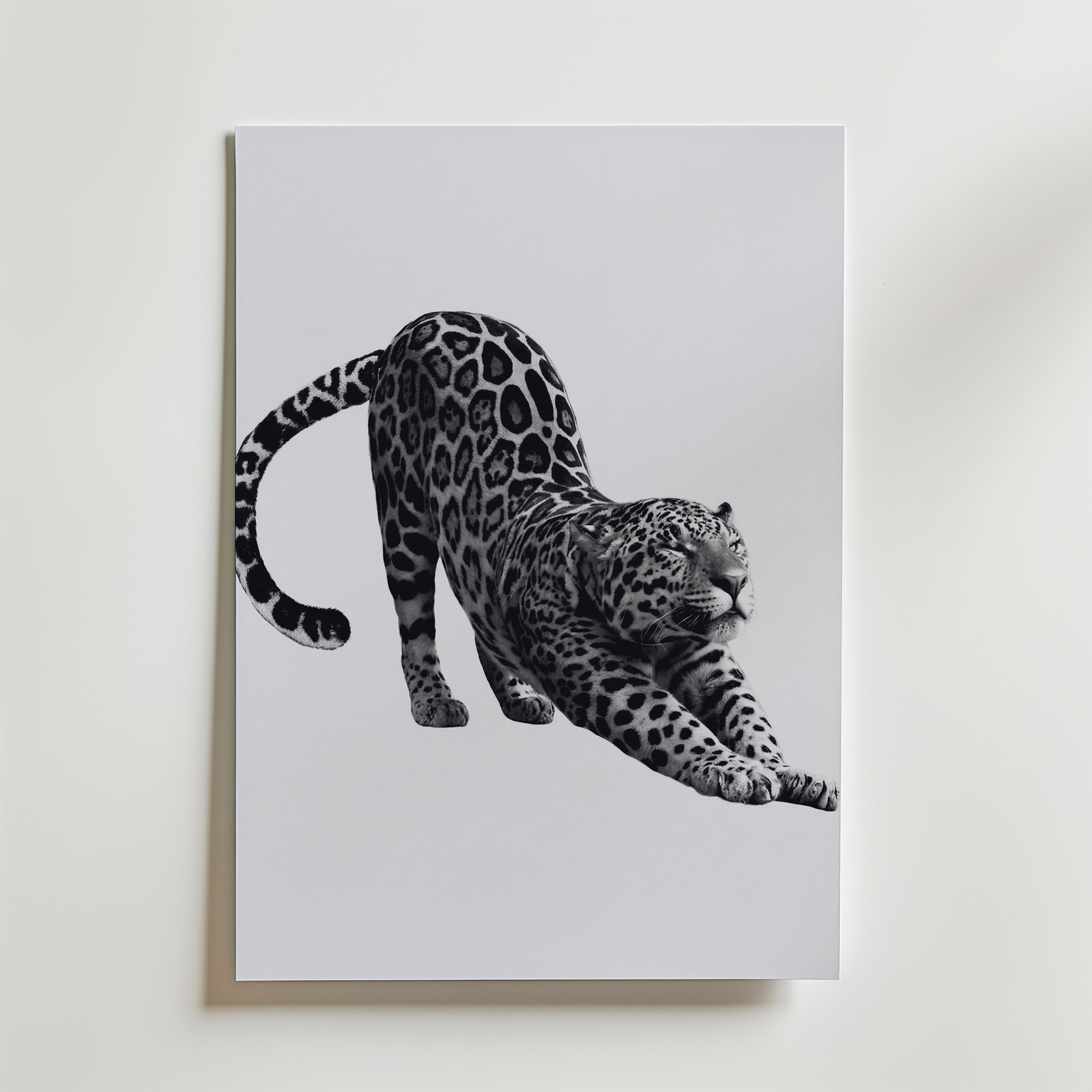 Stretching Leopard Poster – canvas utan passepartout